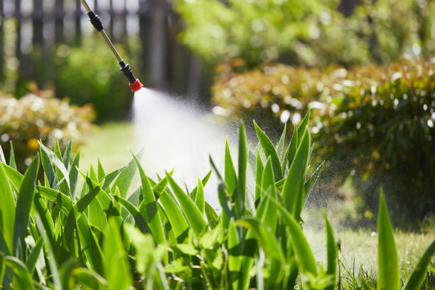 24/7 Emergency Wasp Removal experts in Logan, WV