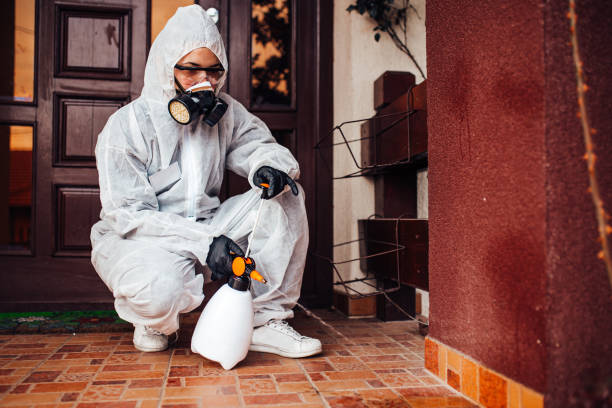 Reliable Wasp Removal contractor in Logan, WV by Show Me Pest Control